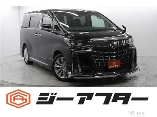 2019 Toyota Alphard G