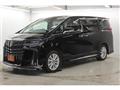 2019 Toyota Alphard G
