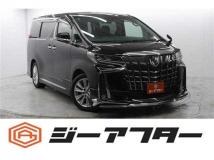2019 Toyota Alphard G