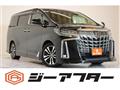 2019 Toyota Alphard G