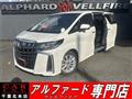 2019 Toyota Alphard G