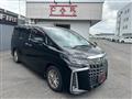 2018 Toyota Alphard G