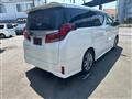 2020 Toyota Alphard G