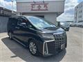 2020 Toyota Alphard G