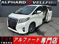2017 Toyota Alphard G
