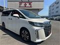 2019 Toyota Alphard G