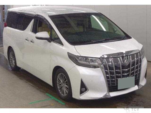 2019 Toyota Alphard G