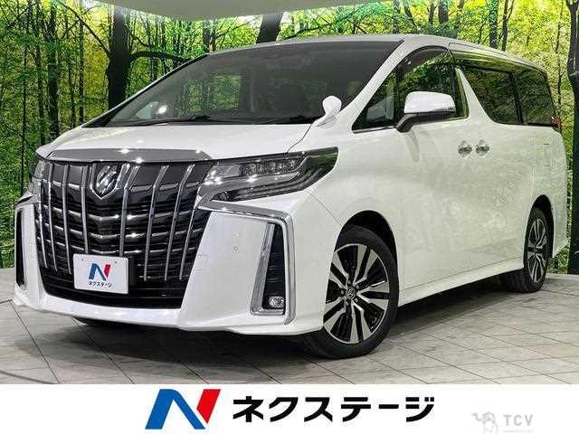 2019 Toyota Alphard G