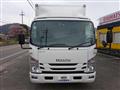 2020 Isuzu Elf Truck