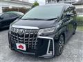 2019 Toyota Alphard G