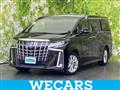 2019 Toyota Alphard G
