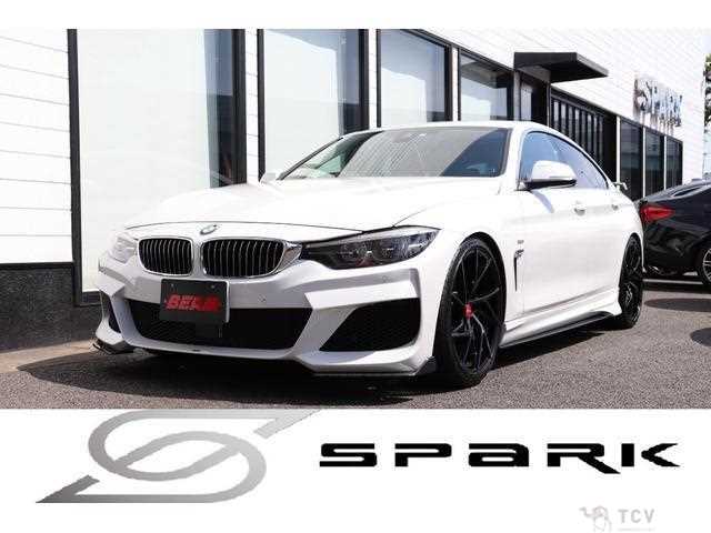 2016 BMW BMW Others