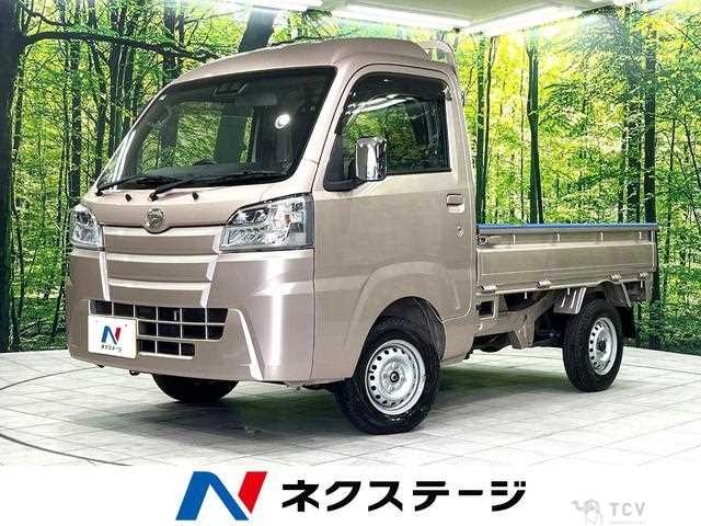 2021 Daihatsu Hijet Truck
