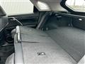 2021 Lexus RX