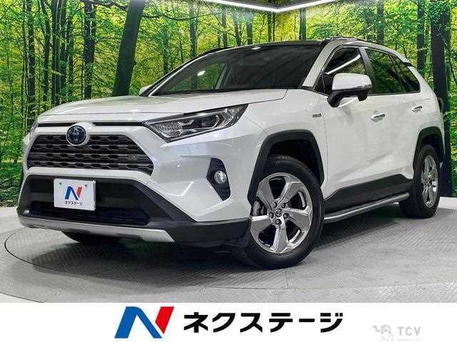2019 Toyota RAV4
