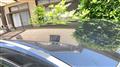 2011 Lexus RX