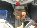 2005 Nissan March