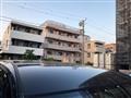 2007 Toyota Alphard G