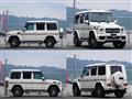 2013 AMG G-Class