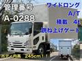 2019 Isuzu Elf Truck