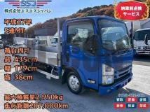 2015 Isuzu Elf Truck