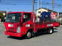 2019 Isuzu Elf Truck