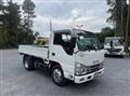 2022 Isuzu Elf Truck