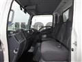 2019 Isuzu Elf Truck