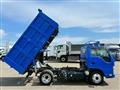2020 Isuzu Elf Truck