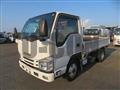 2018 Isuzu Elf Truck
