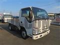 2018 Isuzu Elf Truck