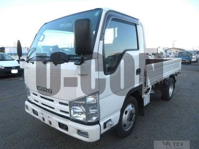 2009 Isuzu Elf Truck