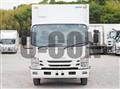 2019 Isuzu Elf Truck