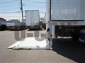 2019 Isuzu Elf Truck
