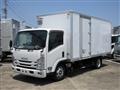 2019 Isuzu Elf Truck