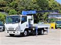 2018 Isuzu Elf Truck