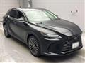 2025 Lexus RX