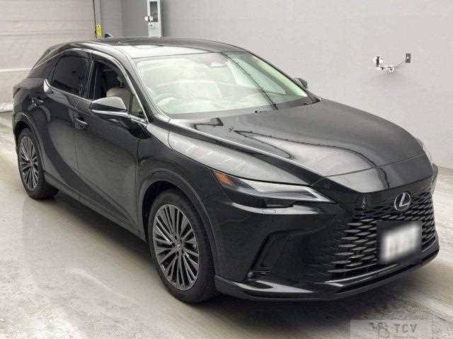 2025 Lexus RX