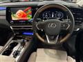 2025 Lexus RX