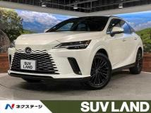2025 Lexus RX