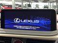 2020 Lexus RX