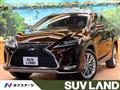 2019 Lexus RX