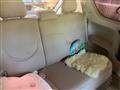 2005 Toyota Porte