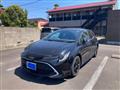 2021 Toyota Corolla Spacio