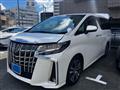 2020 Toyota Alphard G