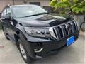 2020 Toyota Land Cruiser Prado
