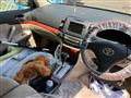 2002 Toyota Premio