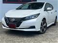 2022 Nissan Leaf