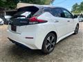 2022 Nissan Leaf