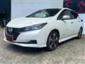 2022 Nissan Leaf